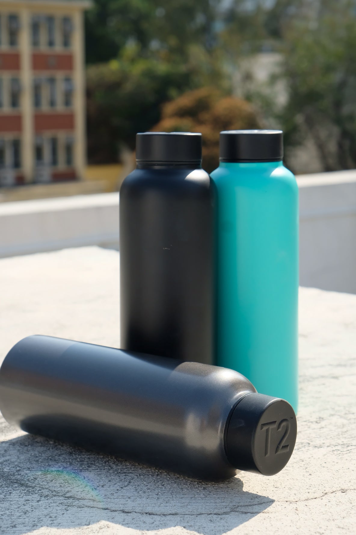 T2 Stainless Steel Flask