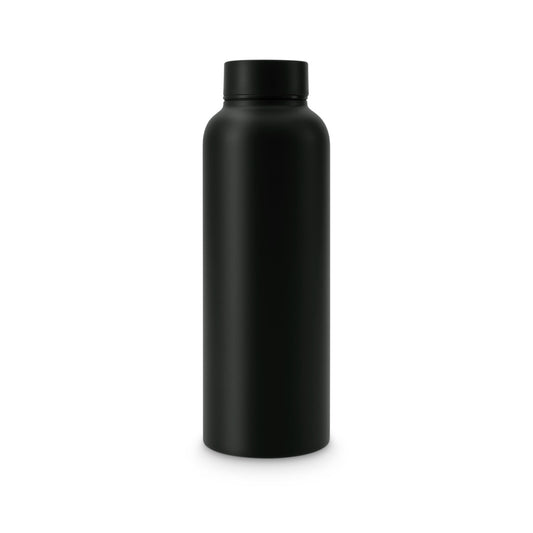 T2 Stainless Steel Flask